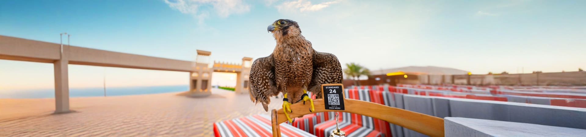 Sunrise Desert Safari in Dubai