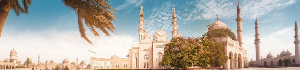 Classic Dubai City Tour