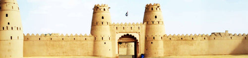 6 Emirates in One Day Tour with Lunch