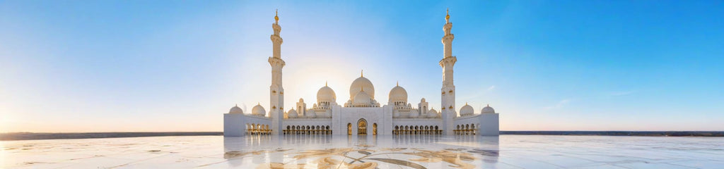 Abu Dhabi City Tour from Dubai with Warner Bros. World Tickets