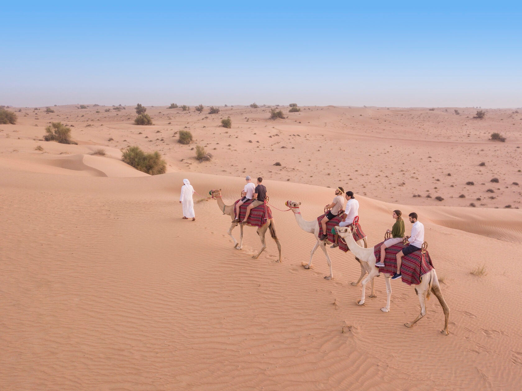 Camel Desert Safari (afternoon/evening) for a Family of 3 / Family of 4
