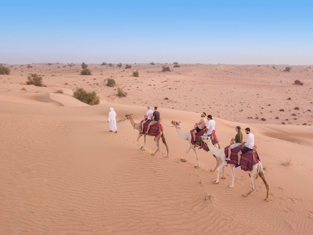 Camel Desert Safari (afternoon/evening)