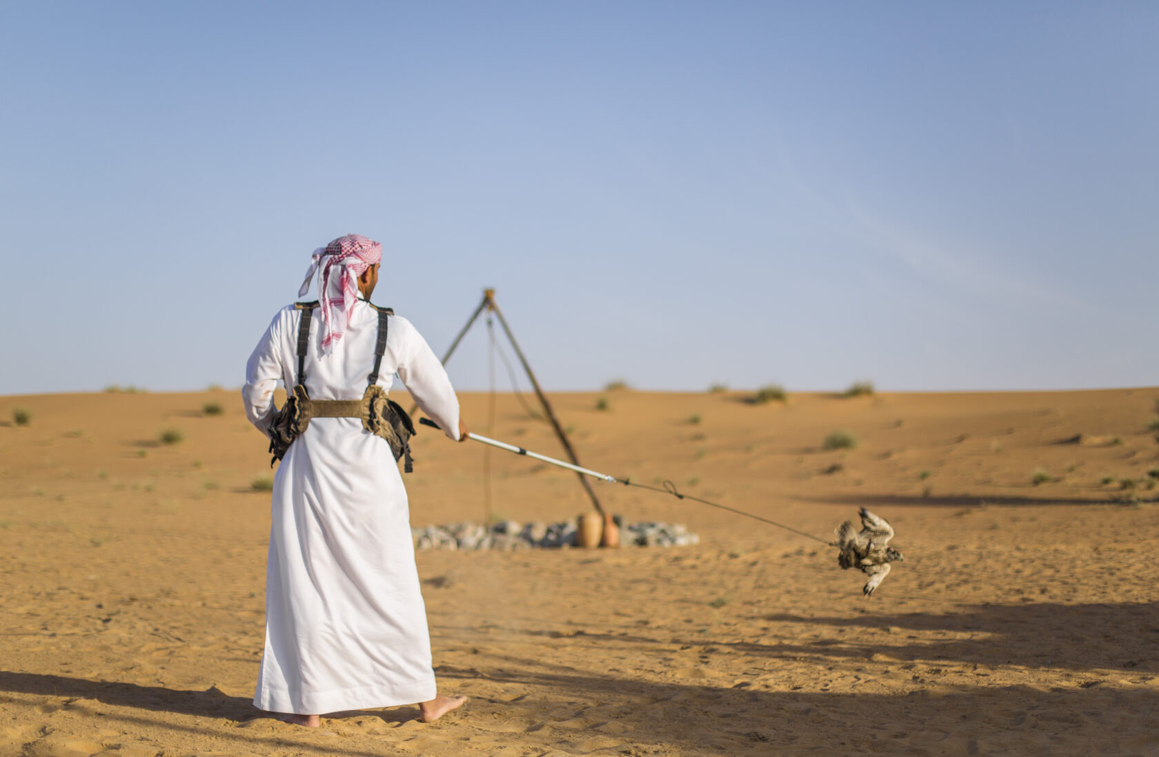 Bedouin Culture Safari (morning)