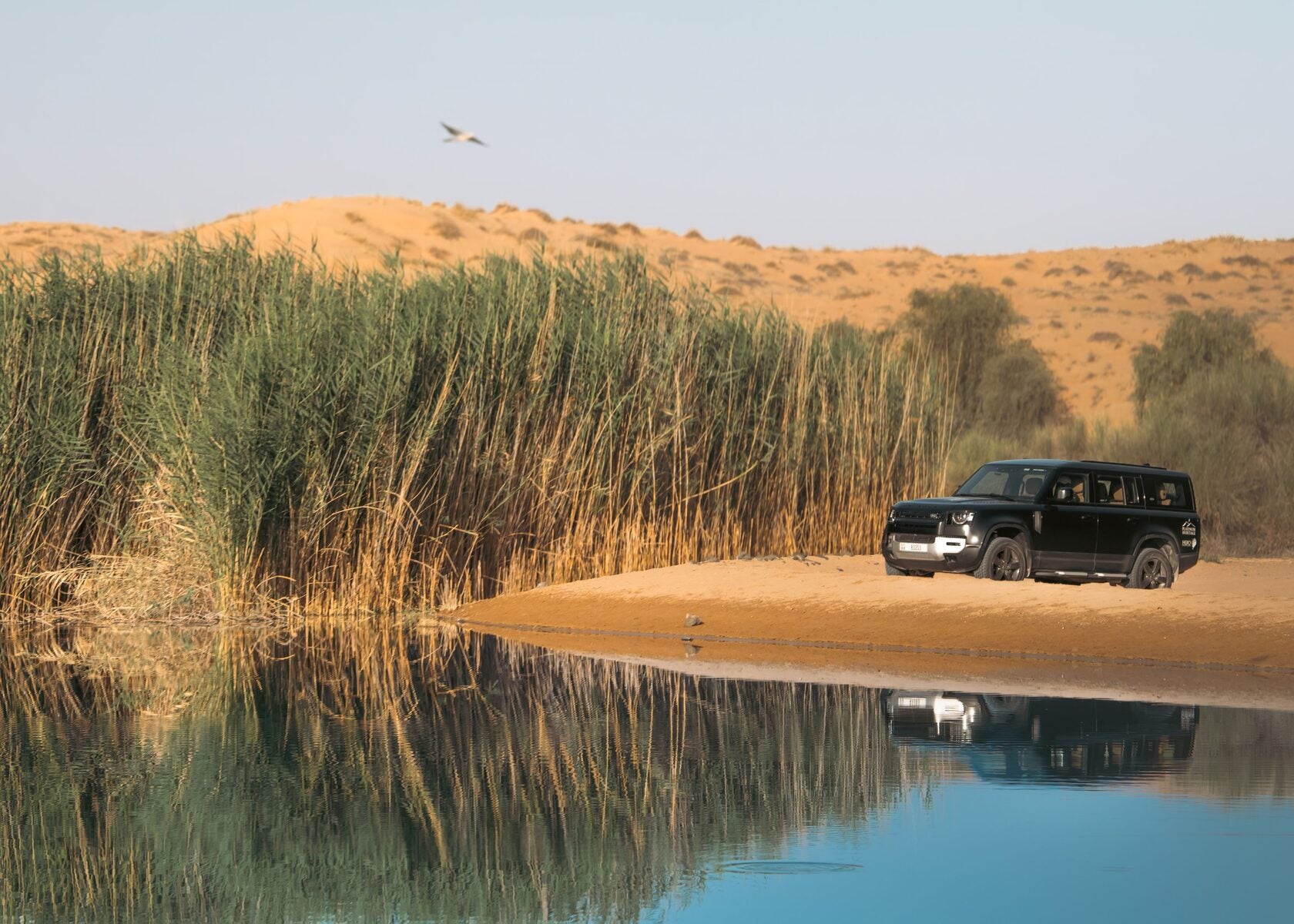 Platinum Desert Safari (afternoon/evening) for 2 persons