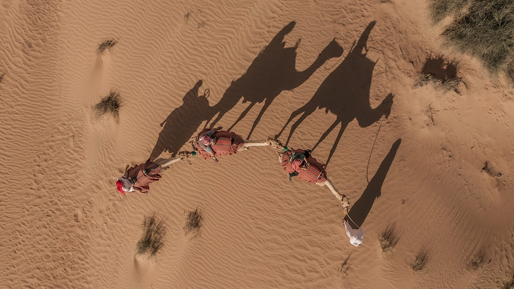 Camel Desert Safari (afternoon/evening)