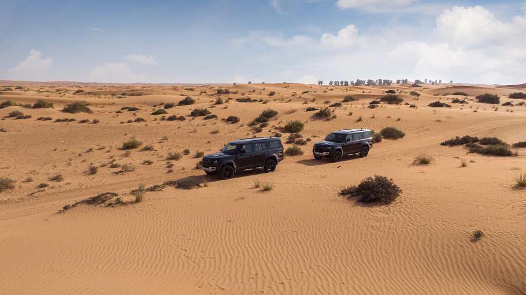 Falconry Training & Nature Safari for 2 persons (morning)