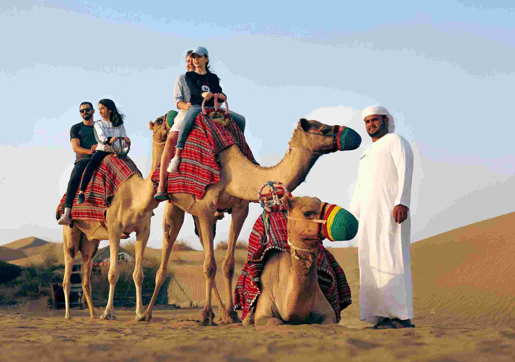 Camel Desert Safari (afternoon/evening)