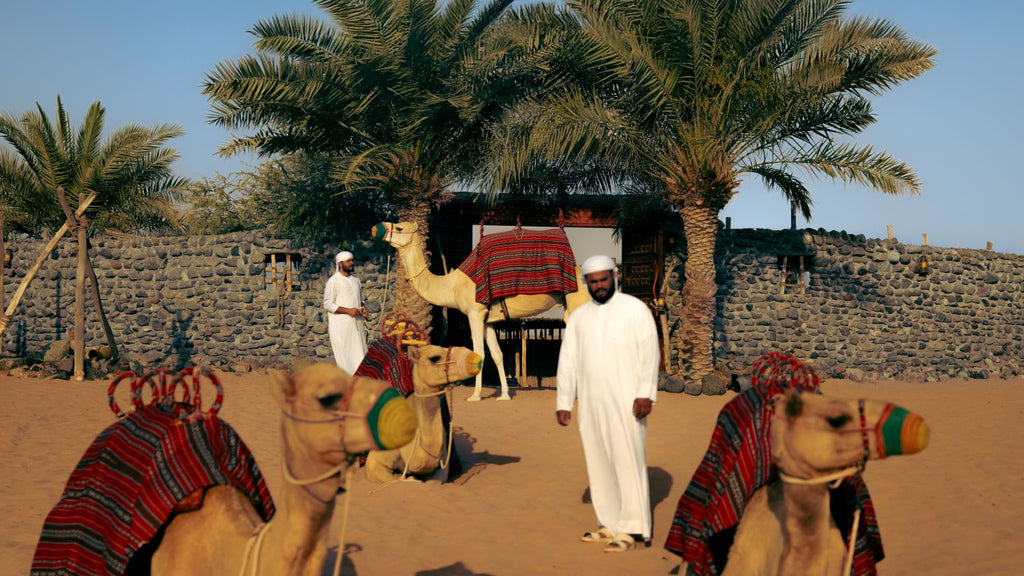 Camel Desert Safari (afternoon/evening)