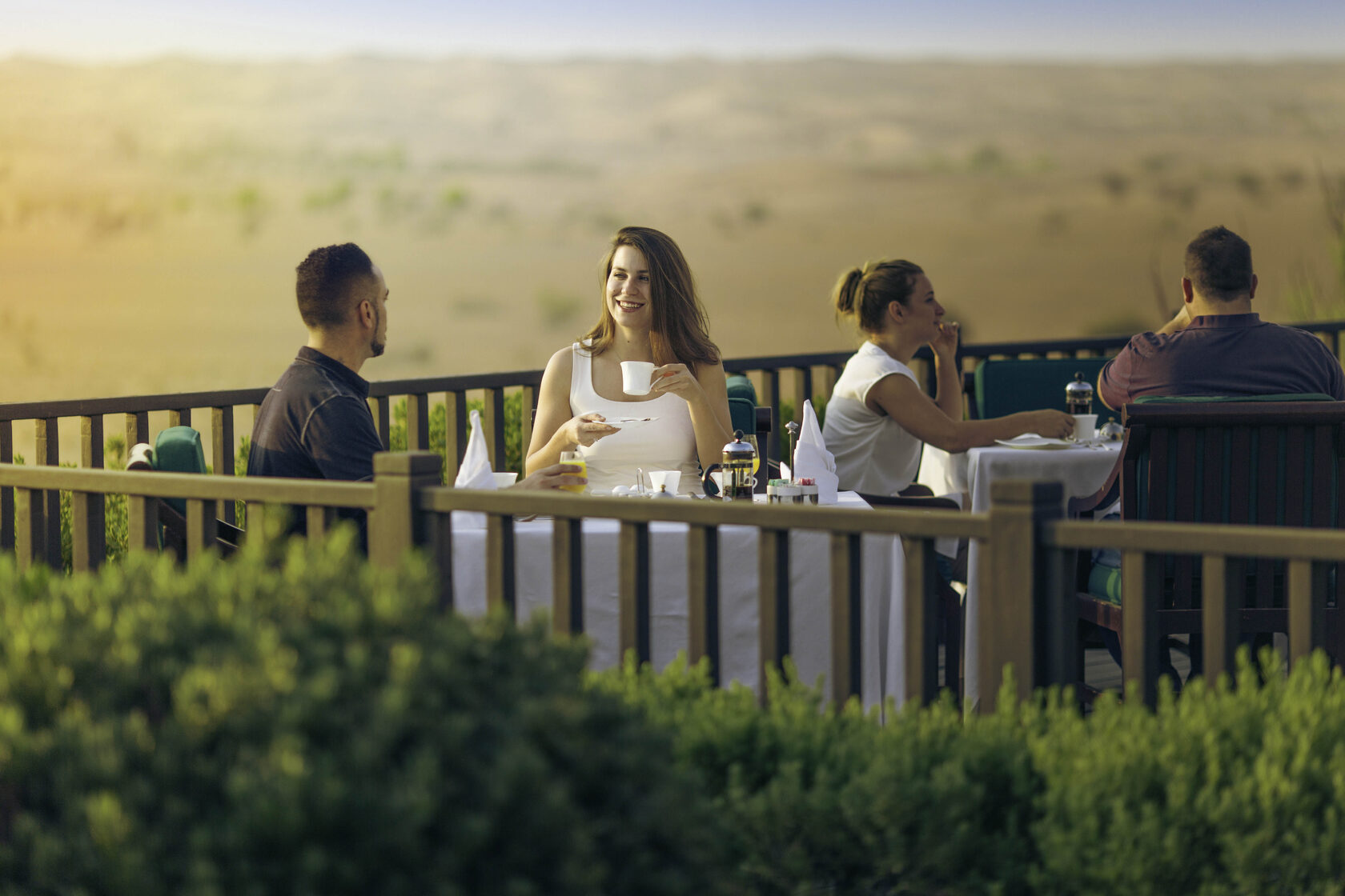 Conservation Drive & Breakfast at Al Maha (morning)